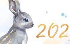 2023 год, год Кролика