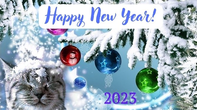 Congratulations on the New Year 2023: cool pictures, prose, poems 7