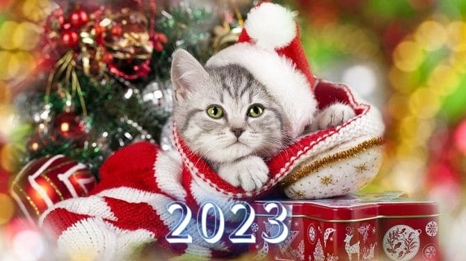 Новогодние картинки на 2023 год Кролика 5