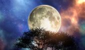 Full Moon in January 2023: Wolf Moon will bring outbursts of anger and aggression