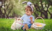Namen für Jungen für 2023 Kaninchen