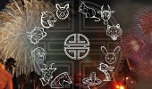 Harmonie der Zeichen: Tierkreis-Verbündete im chinesischen Horoskop