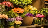 Поради від Flowers.ua: догляд за кімнатними рослинами восени та взимку