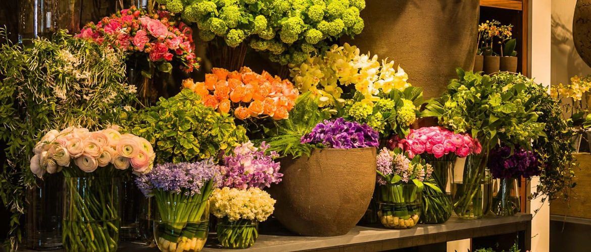 Поради від Flowers.ua: догляд за кімнатними рослинами восени та взимку