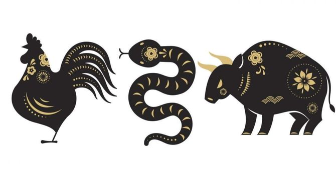 Harmonie der Zeichen: Tierkreis-Verbündete im chinesischen Horoskop 3
