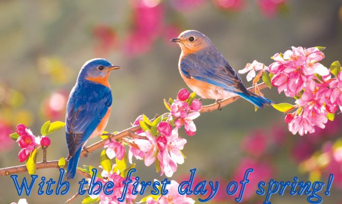 Happy first day of spring! Beautiful greetings from March 1 2