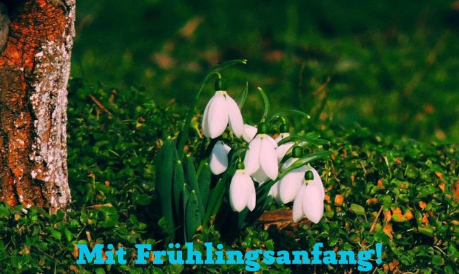 Fröhlichen ersten Frühlingstag! Schöne Grüße vom 1. März 1