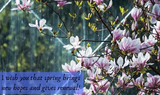 Happy first day of spring: beautiful postcards and pictures 2