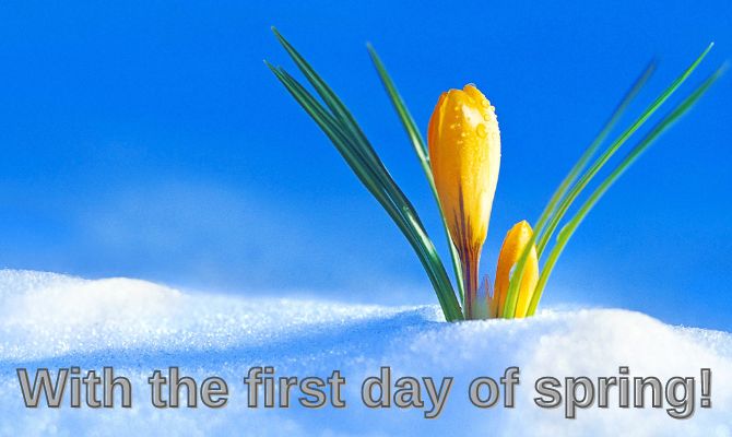 Happy first day of spring: beautiful postcards and pictures 9