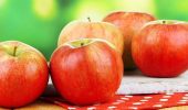 Что приготовить из яблок: простые рецепты на каждый день