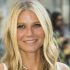 Gwyneth Paltrow to stand trial for skiing incident
