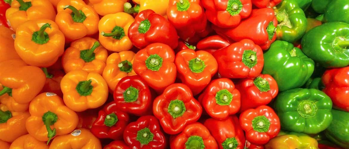 How to fertilize bell pepper + bonus video