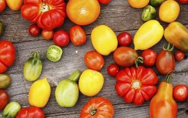 Welche Tomatensorten zum Anpflanzen im Frühjahr wählen + Bonusvideo