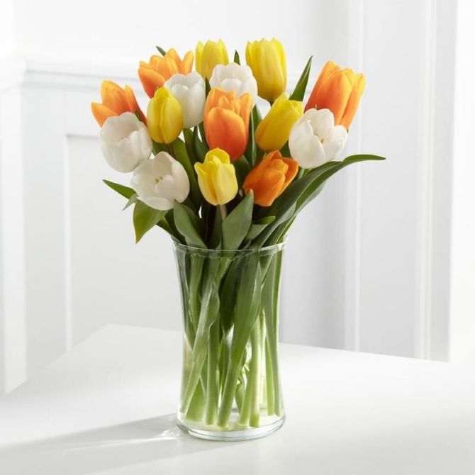 How to care for cut tulips 1