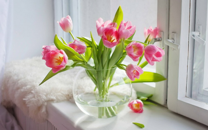 Как правильно ухаживать за срезанными тюльпанами 5