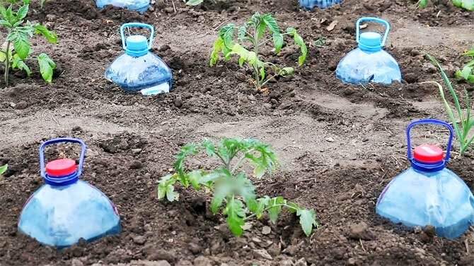 Plastic Bottle Mini Greenhouse – Garden Hacks & Tips Part 16 + Bonus Video 1