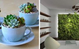 So dekorieren Sie eine Wohnung mit Zimmerpflanzen: 5 stilvolle Ideen (+ Bonus-Video)