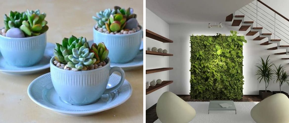Как украсить квартиру домашними растениями: 5 стильных идей (+бонус-видео)