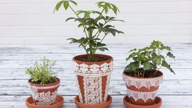 How to decorate a flower pot with your own hands (+ bonus video) 19