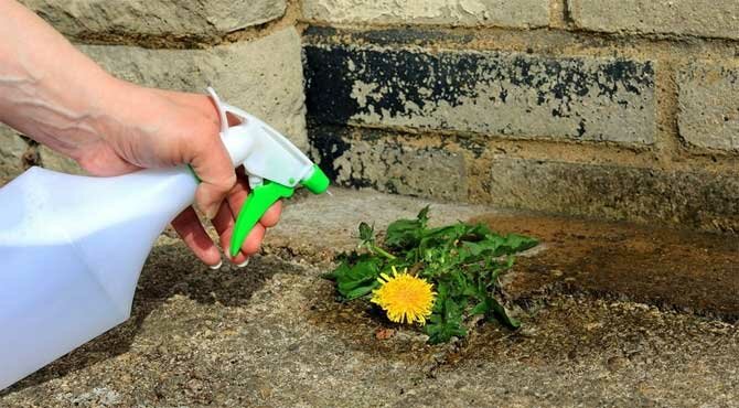 Watering can from a plastic bottle – Garden hacks and useful tips Part 11 + bonus video 2