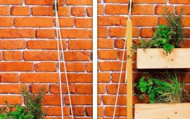 Slug Bricks – Gardening Hacks & Tips Part 13 + Bonus Video