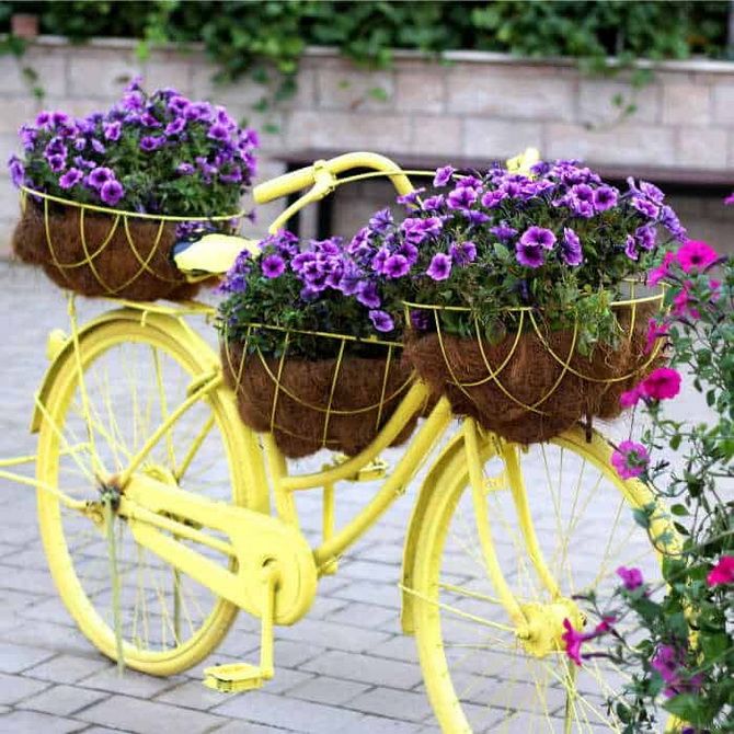 Recycling in gardening: creative flower pots from old things (+ bonus video) 18