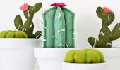 Meisterklasse, wie man mit eigenen Händen ein Kaktus-Nadelbett herstellt (+ Bonus-Video)