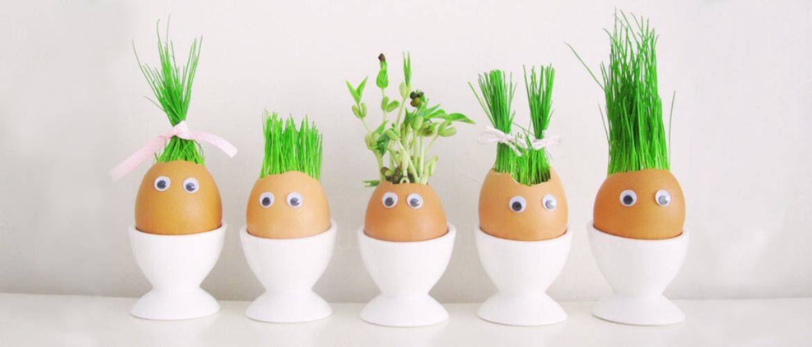 Microgreens in the shell: DIY Easter decoration (+bonus video)