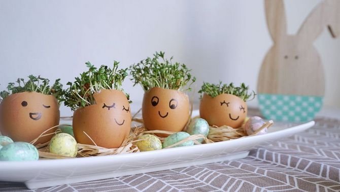 Microgreens in the shell: DIY Easter decoration (+bonus video) 6