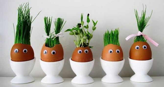 Microgreens in the shell: DIY Easter decoration (+bonus video) 10