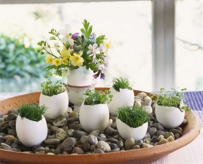 Microgreens in the shell: DIY Easter decoration (+bonus video) 9