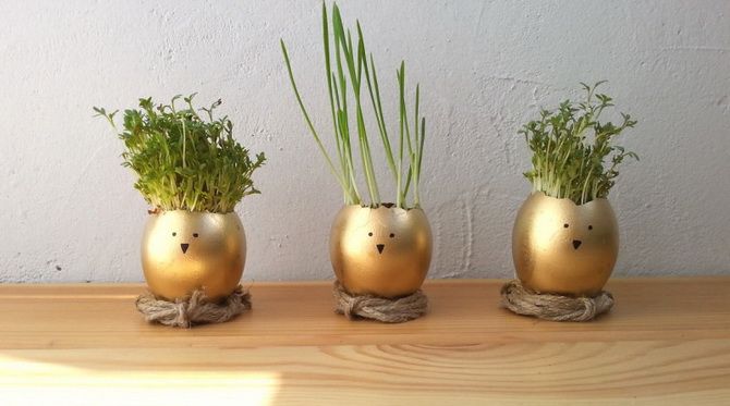 Microgreens in the shell: DIY Easter decoration (+bonus video) 5