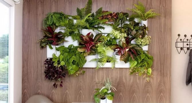 Как украсить квартиру комнатными растениями: 5 стильных идей (+ видео бонус) 7