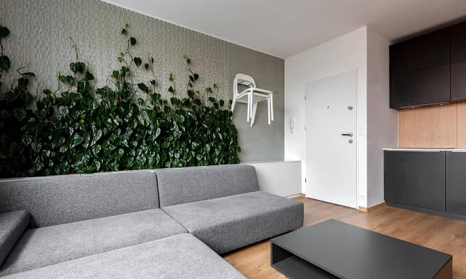 Как украсить квартиру комнатными растениями: 5 стильных идей (+ видео бонус) 8