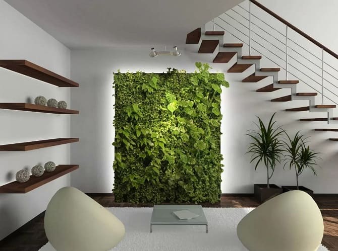 Как украсить квартиру комнатными растениями: 5 стильных идей (+ видео бонус) 9