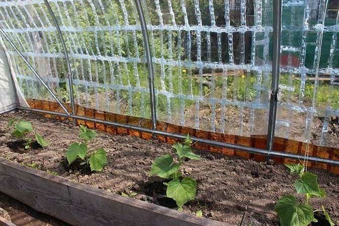 Greenhouses from plastic bottles – Gardening hacks and useful tips Part 14 + bonus video 3