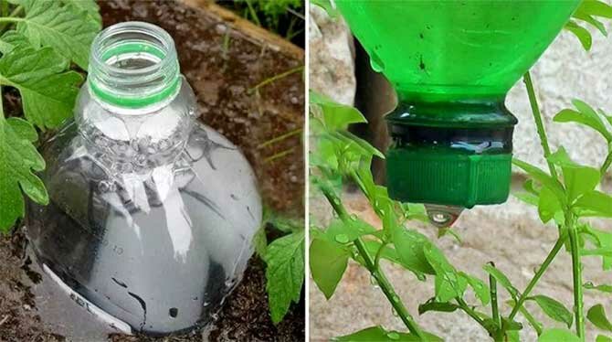 Soapy Water Pest Control – Garden Hacks & Helpful Tips Part 6 + Bonus Video 1