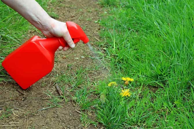 Vinegar against weeds – Gardening hacks and useful tips Part 7 + bonus video 3