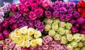 Букет из роз — выбор цветов и правила вручения
