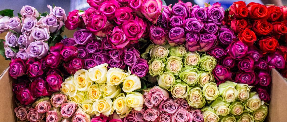 Букет из роз — выбор цветов и правила вручения