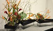 Икебана своими руками: как сделать композицию из растений (+бонус-видео)