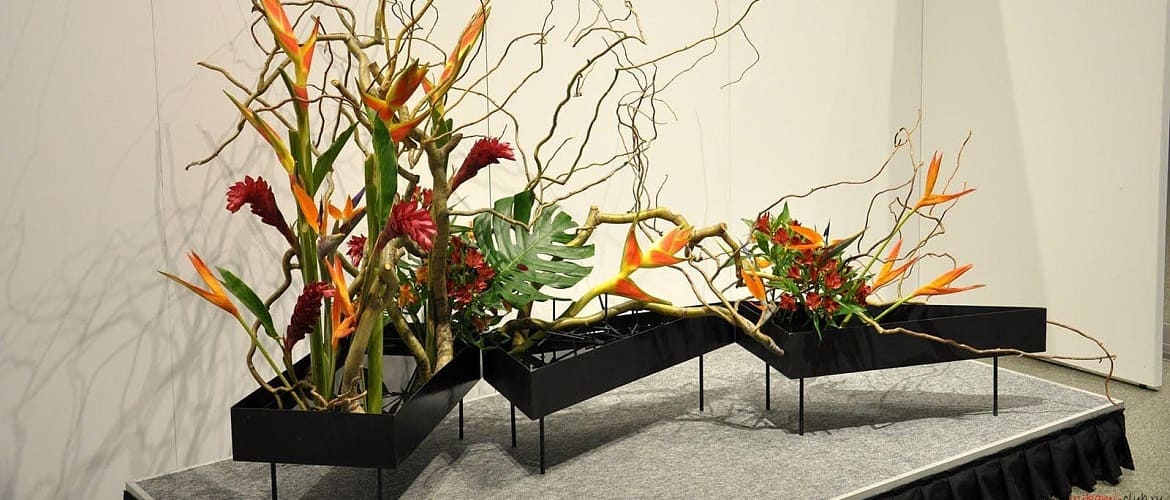 DIY Ikebana: wie man eine Komposition aus Pflanzen macht (+ Bonusvideo)