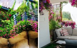Як прикрасити балкон квітами: стильні ідеї з фото (+бонус-відео)