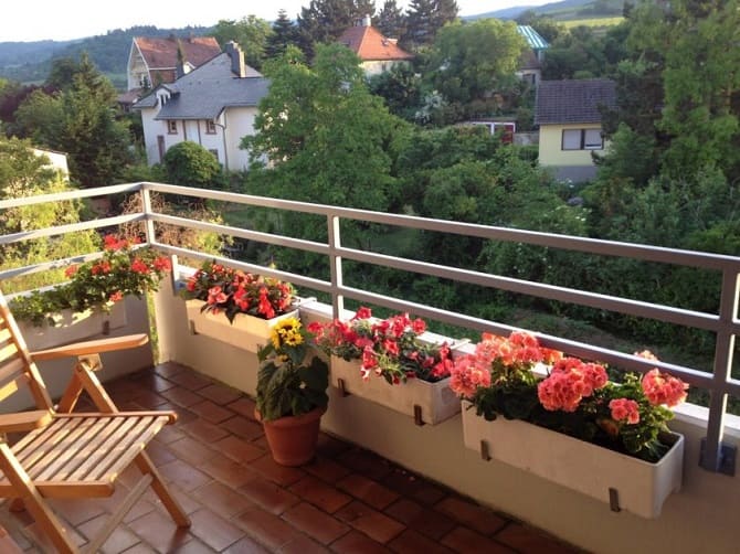 So schmücken Sie einen Balkon mit Blumen: stilvolle Ideen mit Fotos (+ Bonus-Video) 2