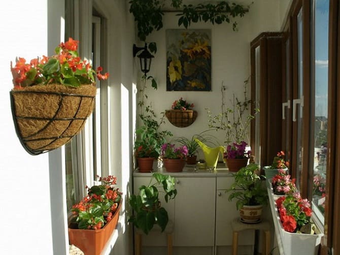 How to decorate a balcony with flowers: stylish ideas with photos (+ bonus video) 3