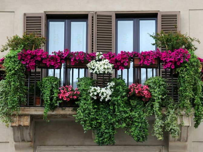 So schmücken Sie einen Balkon mit Blumen: stilvolle Ideen mit Fotos (+ Bonus-Video) 7