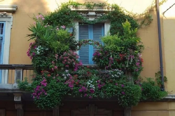 So schmücken Sie einen Balkon mit Blumen: stilvolle Ideen mit Fotos (+ Bonus-Video) 8