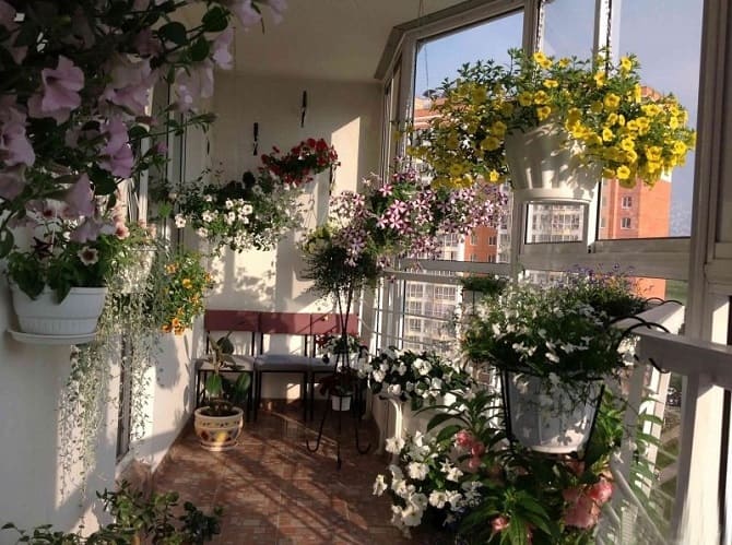 How to decorate a balcony with flowers: stylish ideas with photos (+ bonus video) 9