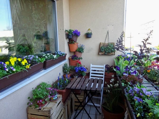 So schmücken Sie einen Balkon mit Blumen: stilvolle Ideen mit Fotos (+ Bonus-Video) 1