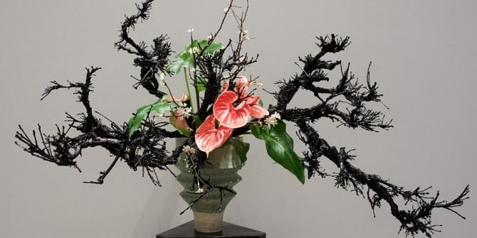 DIY Ikebana: wie man eine Komposition aus Pflanzen macht (+ Bonusvideo) 5